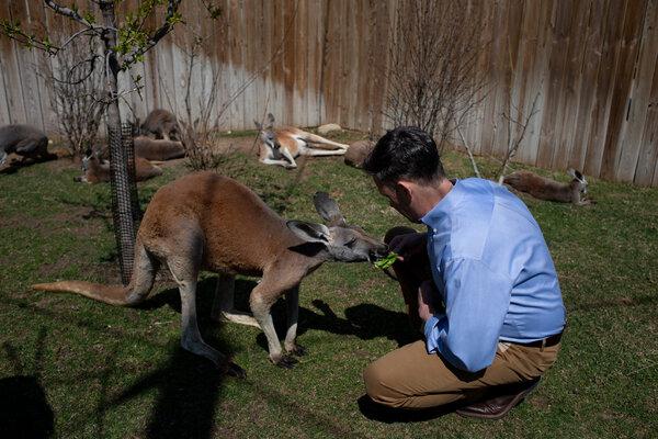  Discover the Joy of Animal Encounters at the Petting Zoo in New Hampshire