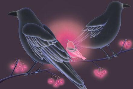 Picture of the author