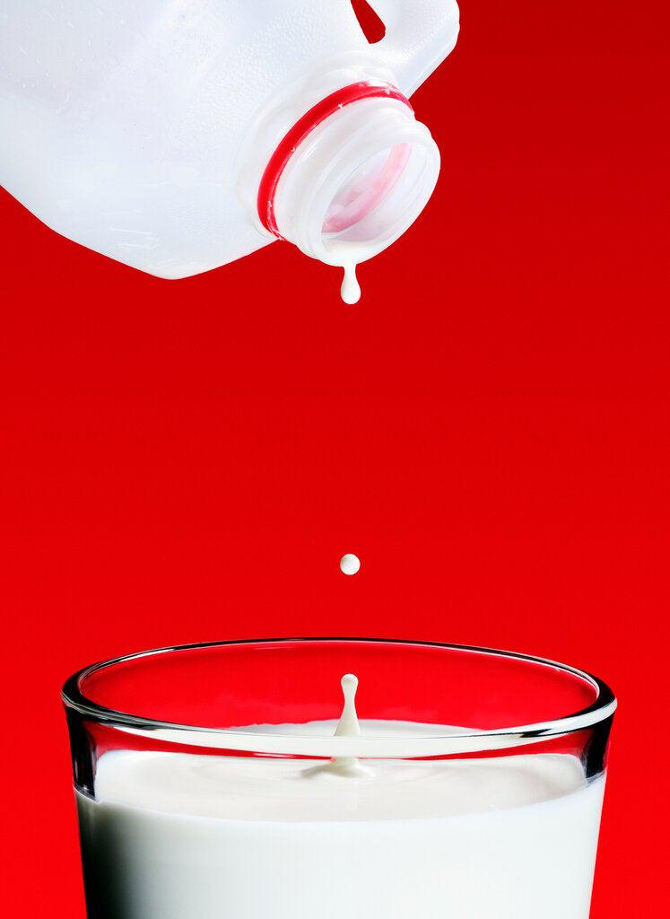 Picture of the author