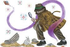 Picture of the author