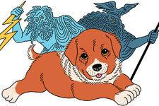 Picture of the author