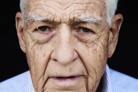 Picture of the author