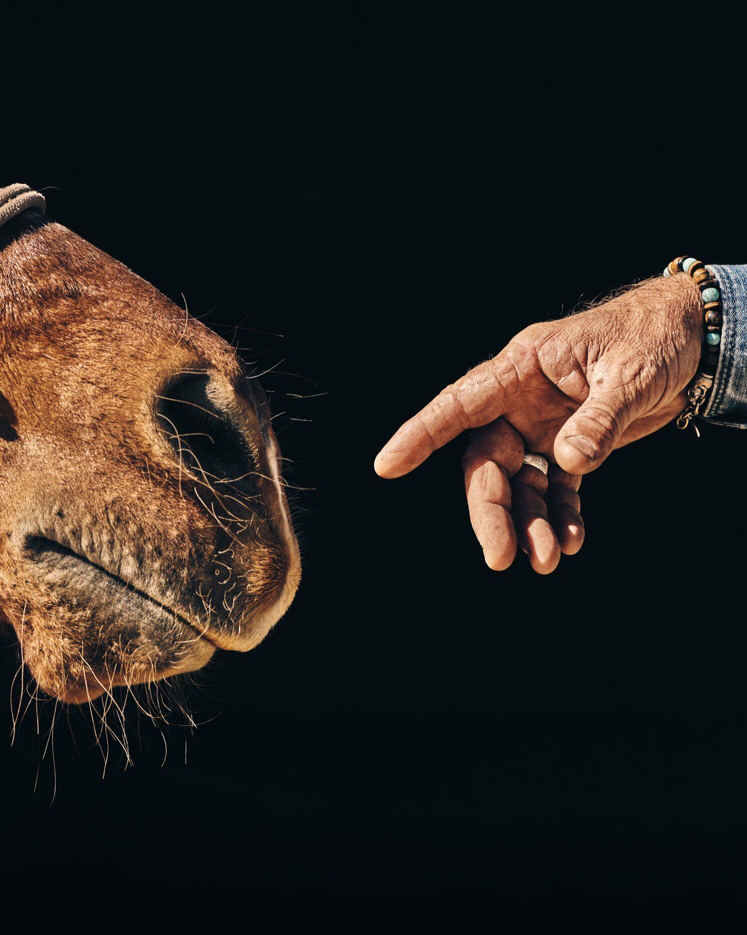 Warwick Schiller with Sherlock, the horse that changed his approach to training.