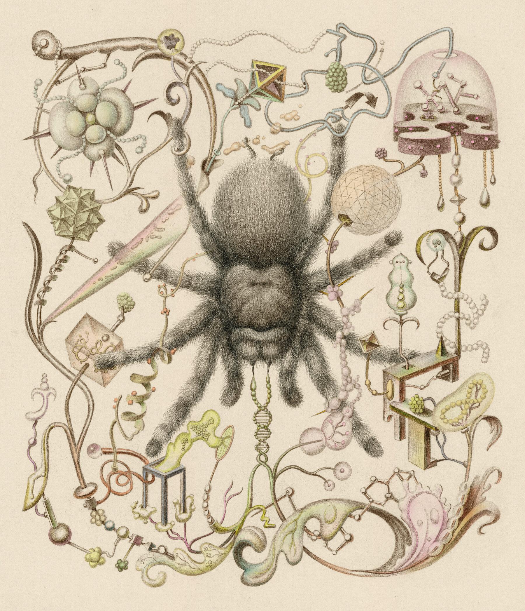 Nature’s ‘Swiss Army Knife’: What Can We Learn From Venom?