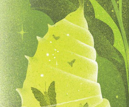 Picture of the author