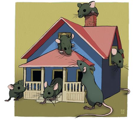 Picture of the author