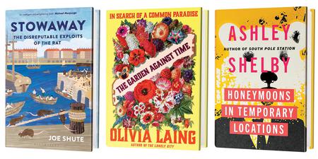 Picture of the author