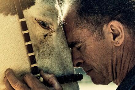 Picture of the author