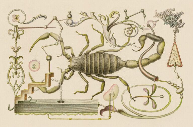 Picture of the author