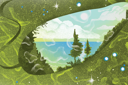 Picture of the author