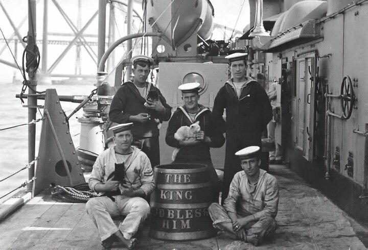 The forgotten history of cats in the navy