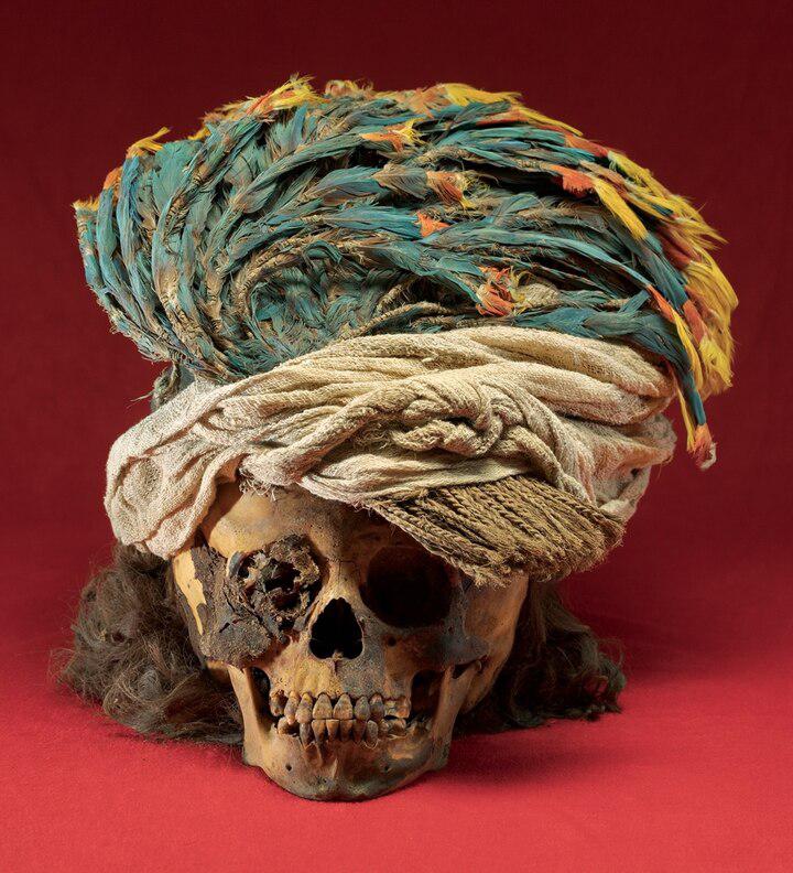 A headdress of macaw feathers adorns the 600-year-old skull of a sacrificed child from the Peruvian site of Pampa la Cruz. Archaeologists used proteomics to determine that the key sacrifices at the site, like this individual, were of male children.