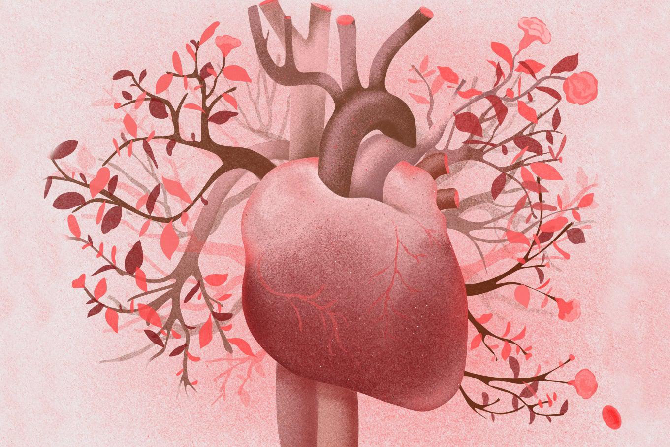 The heart growing on a vine.