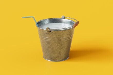 Picture of the author