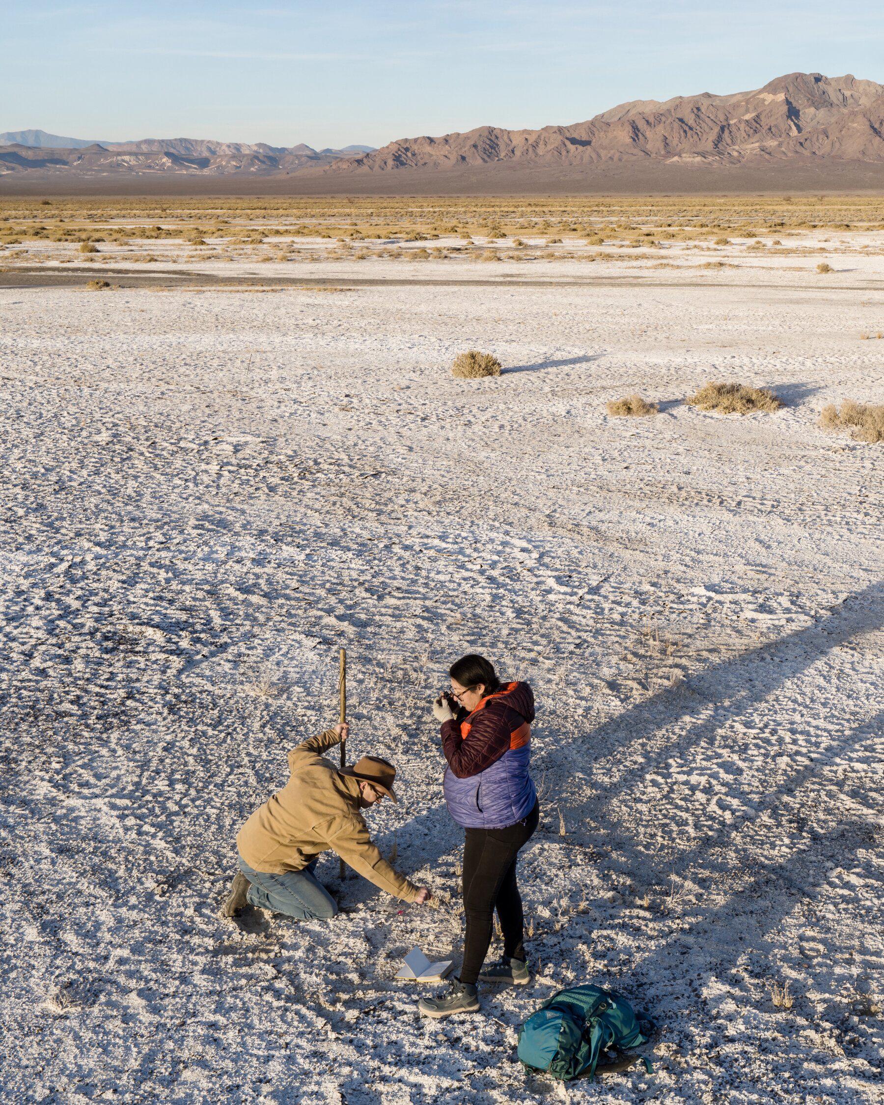 Patrick Donnelly and Naomi Fraga in a salt flat on the edge of Ash Meadows National Wildlife Refuge. They have opposed a lithium-mining project that threatens the area’s endemic species.