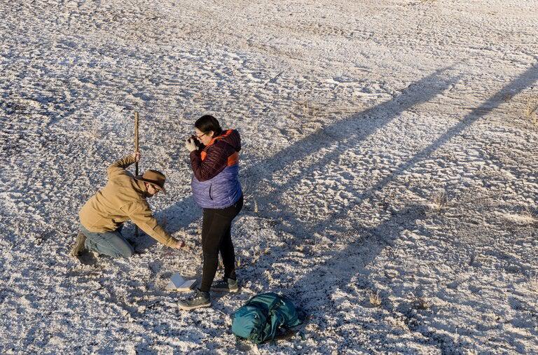 Picture of the author