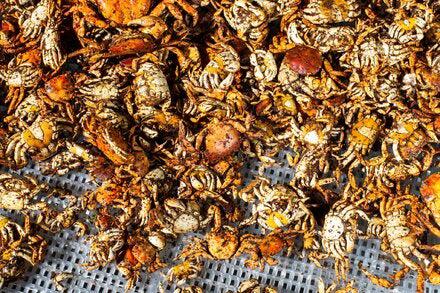 Picture of the author