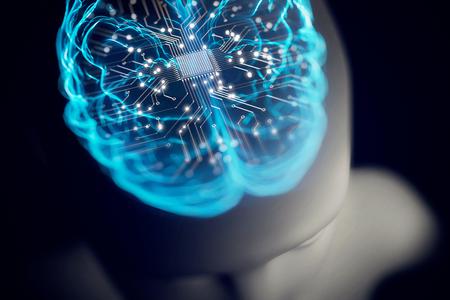 Picture of the author