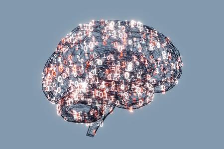 Picture of the author