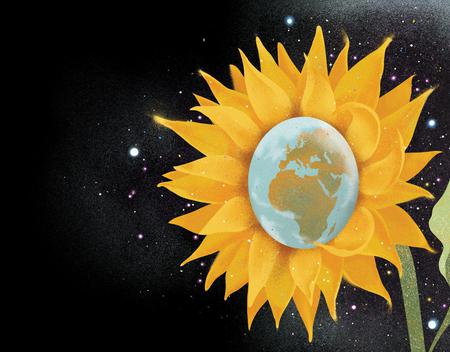 Picture of the author