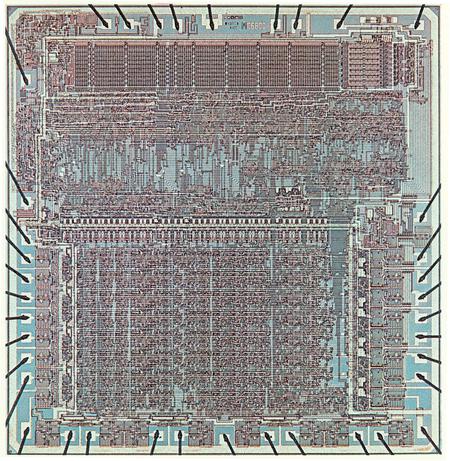 Picture of the author