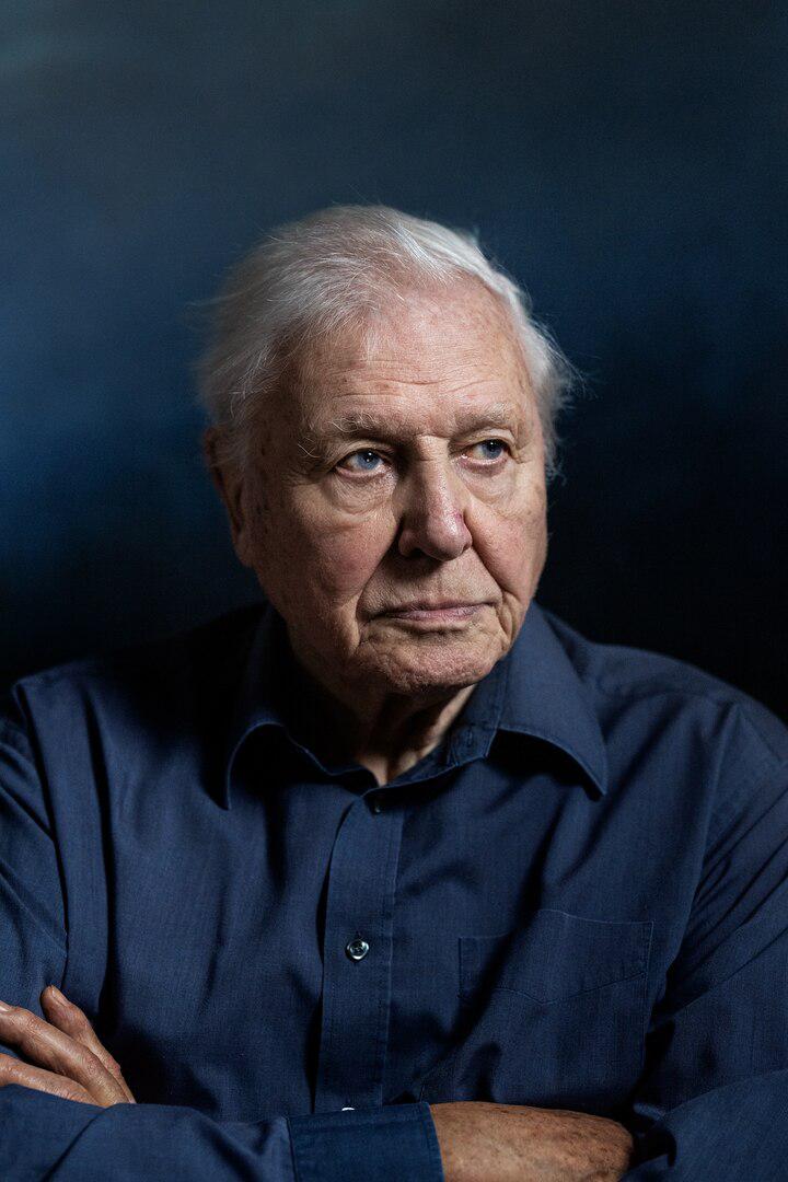 Sir David Attenborough's newest documentary film is “Ocean with David Attenborough.”<br> 