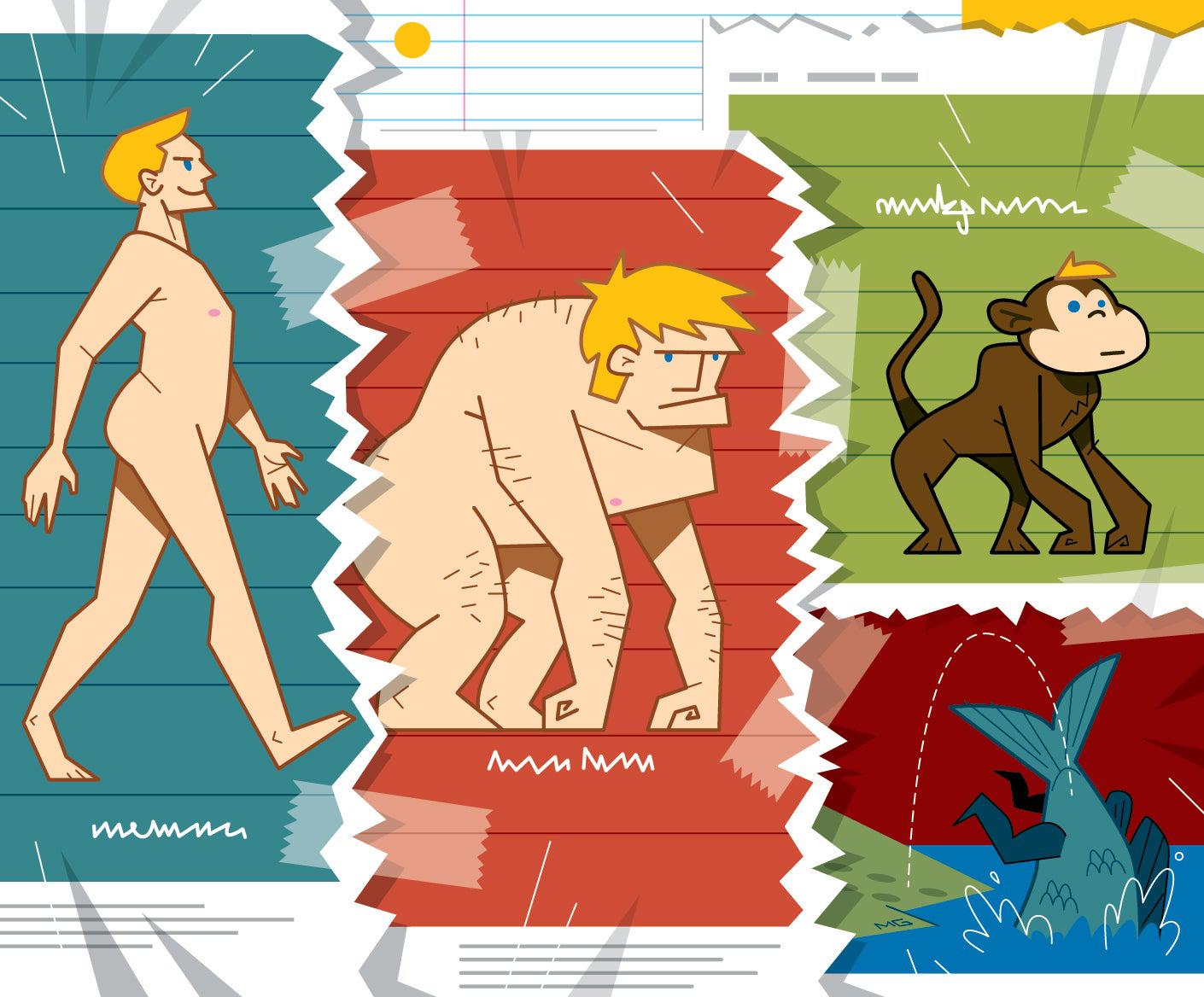 Ripped up textbook with illustrations of 'new' evolution