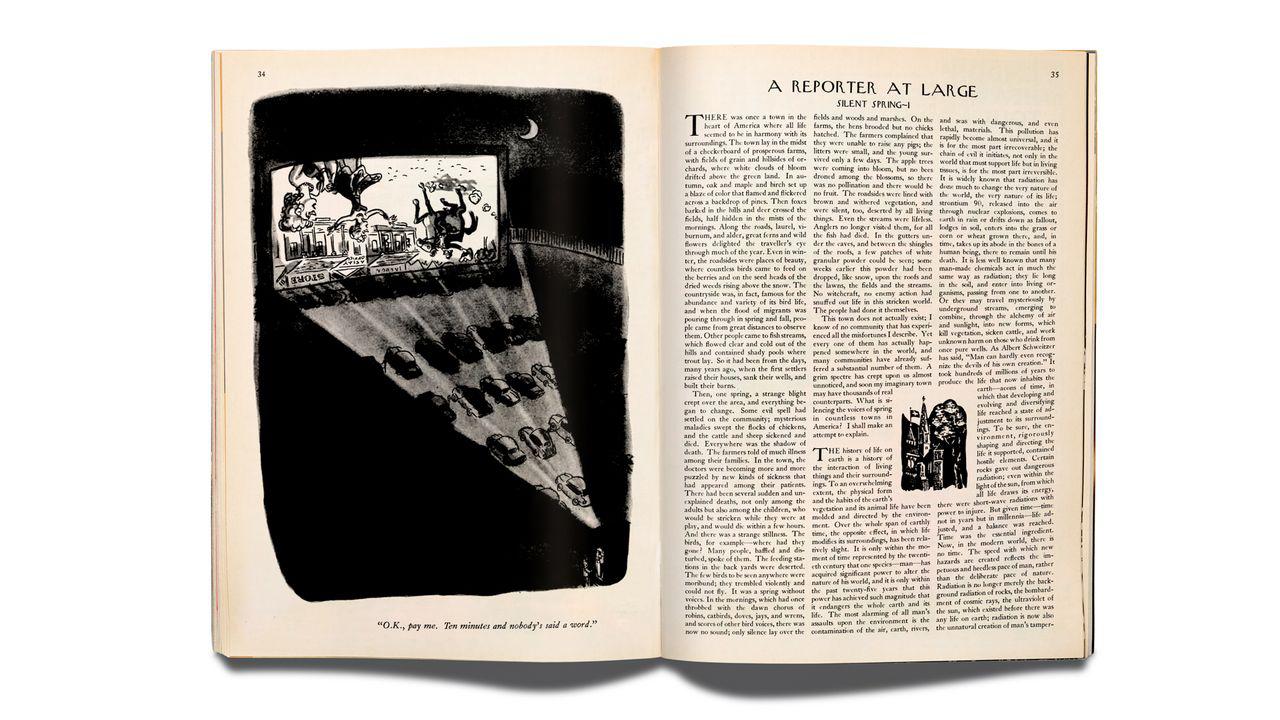 Bill McKibben on Rachel Carson’s “Silent Spring”