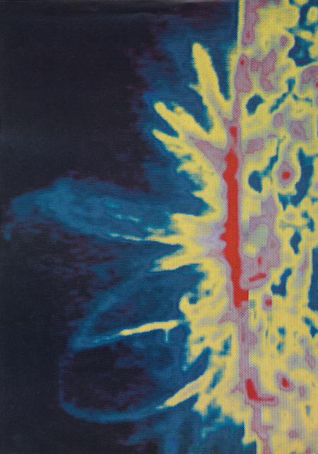 Picture of the author