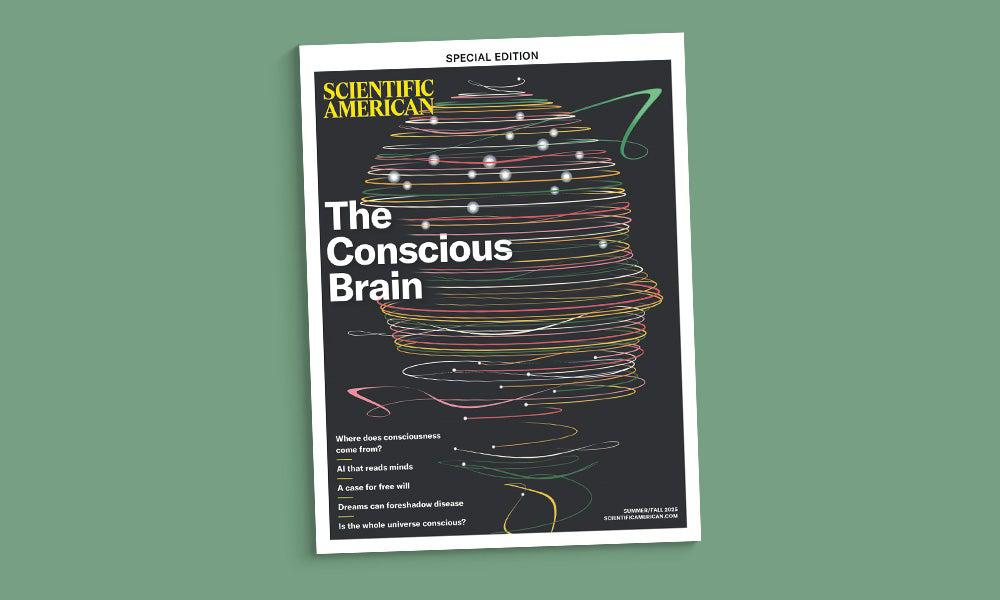 Cover of The Conscious Brain special edition of Scientific American