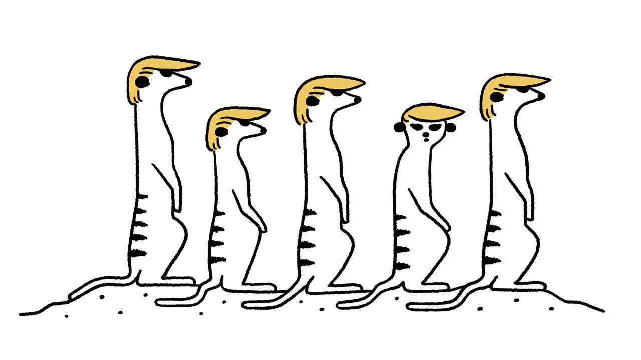 Now That I Run the Zoo