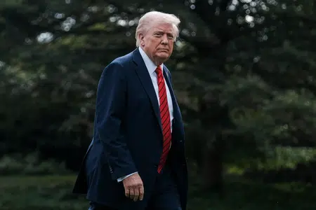 Picture of the author