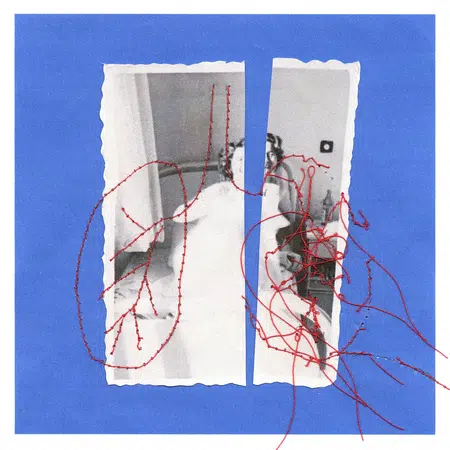 Picture of the author