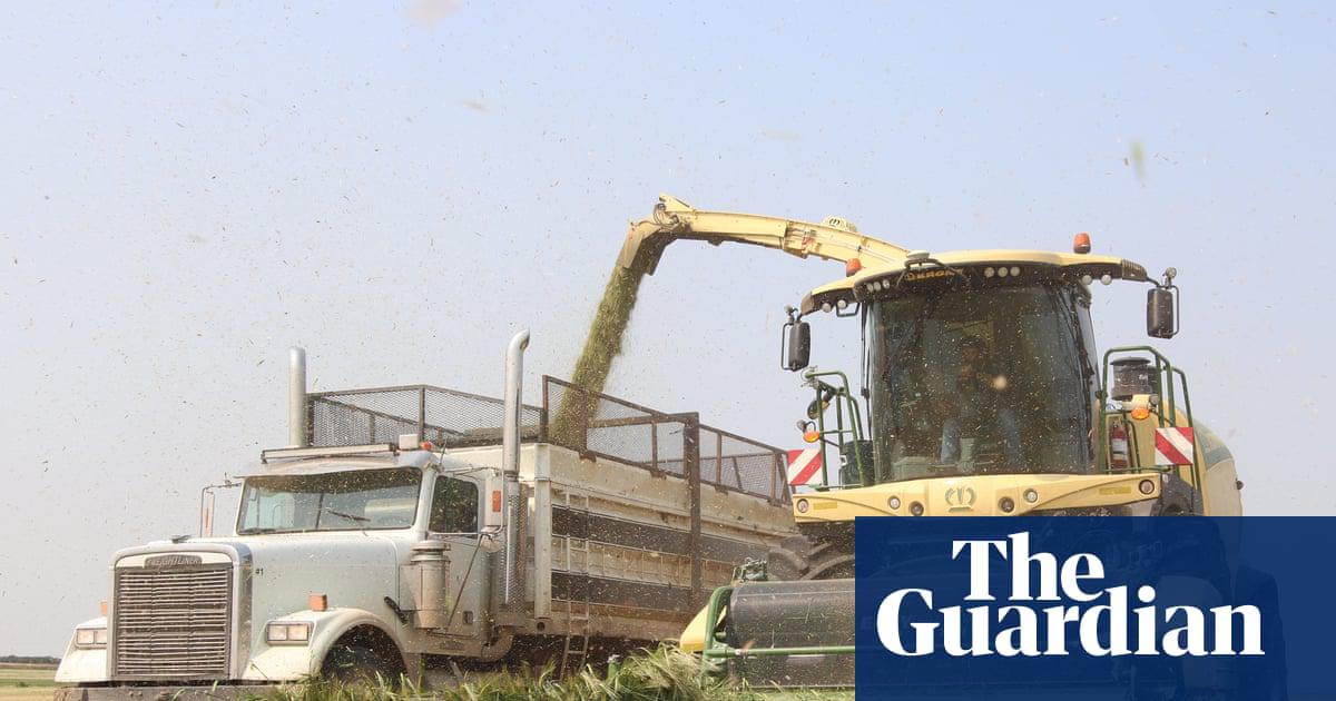 Firms such as Krone, whose products include combine harvesters, now have to certify the origin, weight and value of any steel in their products right down to nuts and bolts.