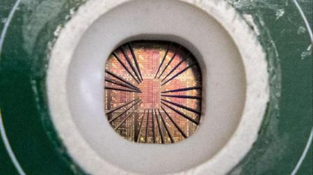 Picture of the author