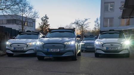 Picture of the author