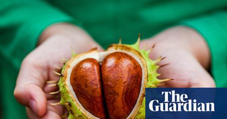 Picture of the author