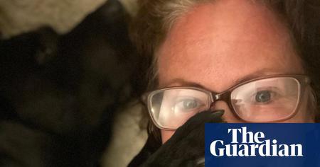 Picture of the author