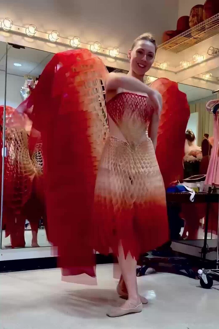 Honeycomb Wings and Jellyfish: These Costumes Dance Too