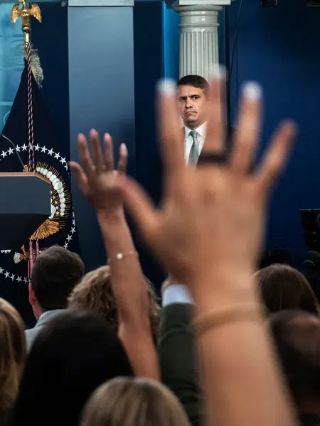 Picture of the author