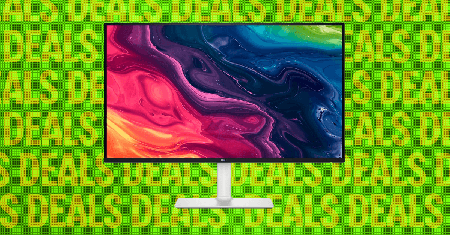 Picture of the author