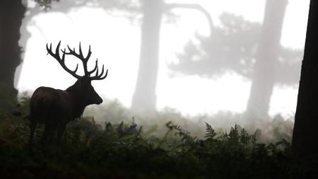 Picture of the author