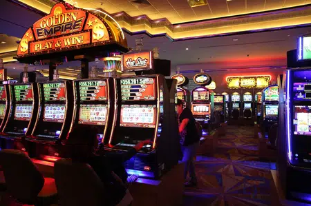 Picture of the author