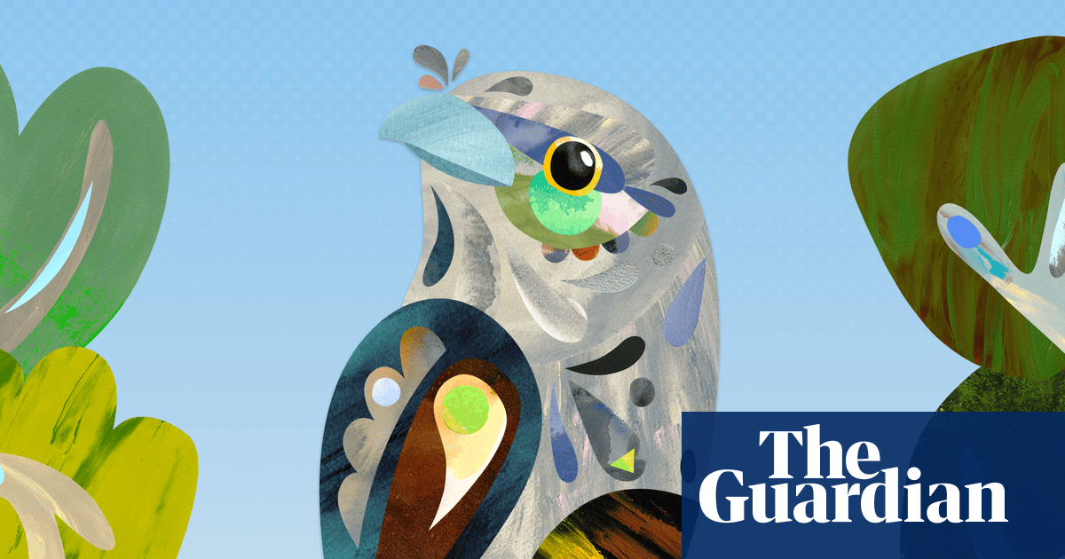 Tawny frogmouth named 2025 Australian bird of the year winner