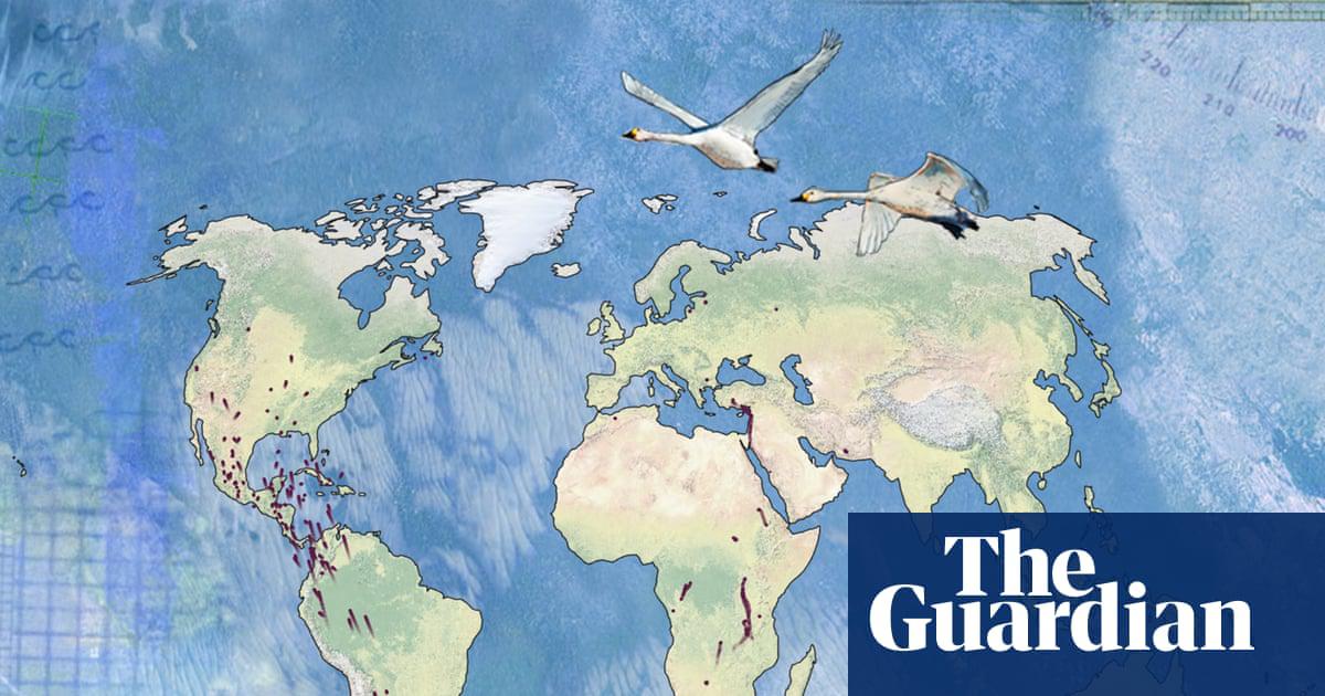 Bird migration is changing. What does this reveal about our planet? – visualised