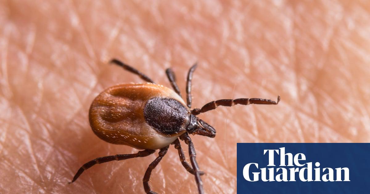 Why is ‘chronic’ lyme disease so controversial? – podcast