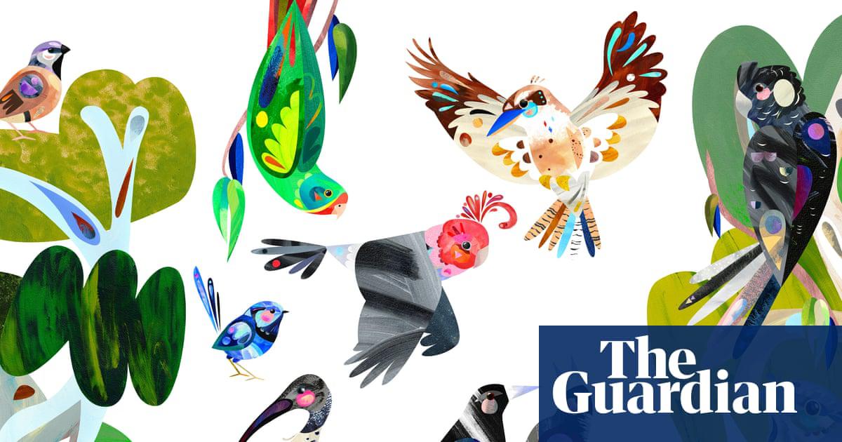 Download your own printable poster to mark the 2025 Australian bird of the year poll.