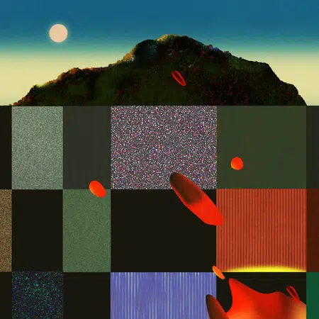 Picture of the author