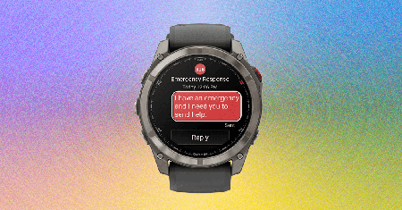 Picture of the author