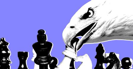 Picture of the author